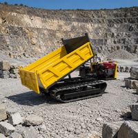 Dumper sur chenilles hydraulique de haute qualité avec grue, 2 tonnes, 3 tonnes, 4 tonnes, petit dumper sur chenilles avec moteur diesel