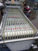 Machine de classement de Fruits rouges de Type piste multifonction commerciale à haute efficacité/trieur de cerises/équipement de tamisage des olives