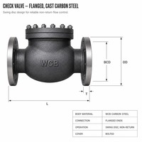 Vanne de retenue à corps moulé, à disque oscillant, à couvercle boulonné, à extrémités à brides, API 594 Classe 150 A216 WCB, pour usine de traitement chimique, directement de l'usine