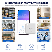 Thermomètre hygromètre numérique Bluetooth haute précision avec écran LCD, capteur de température et d'humidité, moniteur intelligent pour intérieur et cuisine, en plastique