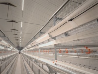 Tube LED T5 professionnel à intensité variable, haute efficacité, multicolore, pour élevages avicoles intérieurs, installation facile, étanche IP67, garantie 3 ans