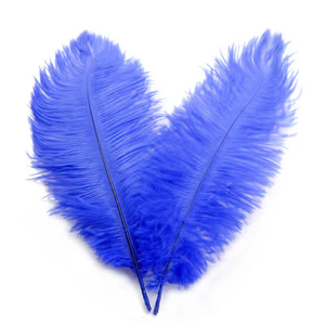 Lot de 10 plumes d'autruche Creny de 30 à 35 cm pour décoration d'intérieur ou mariage, Red