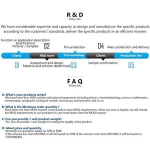 50206.33 Structure de feuille de dicotyléenne typique - Product Image 3