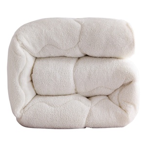 À la mode chaud <span class=keywords><strong>couette</strong></span> <span class=keywords><strong>laine</strong></span> <span class=keywords><strong>d</strong></span>'<span class=keywords><strong>agneau</strong></span> tissu doux épais printemps/automne <span class=keywords><strong>couette</strong></span> flanelle <span class=keywords><strong>couette</strong></span> pour lit couettes de couchage - Product Image 3