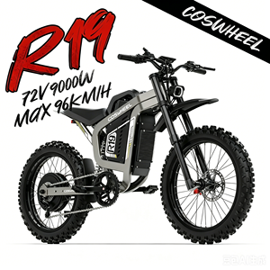 9KW Peak Power Coswheel 2026 New R19 E-dirt Bike Electric Motorcycle Mountain Bike Off-road Electric Dirt Bike 96km/h Fast Bike - Product Image 2