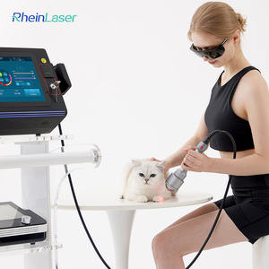 Dispositivo de Terapia Láser Veterinaria <span class=keywords><strong>Smart</strong></span> Ice de Alta Potencia (30w-60w) para Reparación de Lesiones en Tendones Equinos y Parcialidad en Caballos - Product Image 5