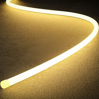 LED-Rundrohrleuchte aus Reinem Silikon, Neon-Lichtschlauch, Außen Wasserdicht, D25MM, 360-Grad-Lichtemittierender Flexibler Streifen