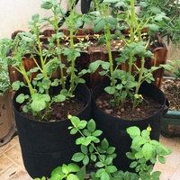 Maceta de tela de 4 galones, macetas de fieltro para cultivo de vegetales, bolsas para plantar patatas, bolsas de cultivo para plántulas de batata con ventana abatible