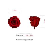 UKIQUEEN Grosir Kepala Mawar Awet 3-4cm Bunga Asli Alami untuk Kotak Hadiah Pernikahan Dekorasi Rumah Valentine