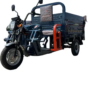 china famous brand heavy loading Electric three wheeler trikes tricycle cargo tricycles