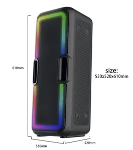 Binko Dual 6.5 pouces, haut-parleur portable pour karaoké, sans fil, FC BT, DJ, lecteur <span class=keywords><strong>CD</strong></span>, boombox avec double haut-parleur basse, lumière LED - Product Image 1