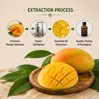 Huiles parfumées concentrées à l'odeur de mangue pour la diffusion d'arômes, la fabrication de savons, de bougies, de parfums corporels et de liquides.