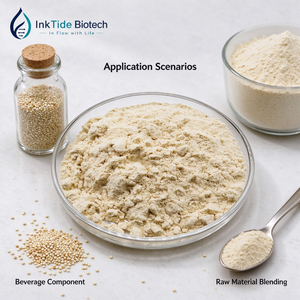 Poudre d'extrait de chenopodium <span class=keywords><strong>quinoa</strong></span> et poudre de peptide de <span class=keywords><strong>quinoa</strong></span> en gros, <span class=keywords><strong>prix</strong></span> usine HALAL - Product Image 3