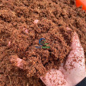 Bloc de tourbe de coco de haute qualité-Milieu de culture naturel 100% pour toutes les plantes du Vietnam - Product Image 3