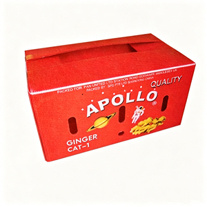 <b>Small</b> Medium Size PP Hollow Sheet Plastic Crate for <b>Small</b> Parts <b>Storage</b> Kitchen Organization and Daily Use Packaging <b>Box</b> - Product Image 5