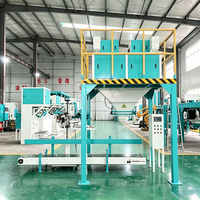 Máquina de llenado semiautomática de 25kg y 50kg para harina y almidón de grado alimenticio, línea de envasado de grano para alimento animal en bolsas de papel