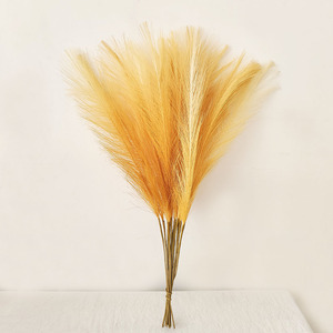 Décoration de mariage, grandes plumes de pampa séchées colorées, fleurs de pampa séchées naturelles, herbe - Product Image 2