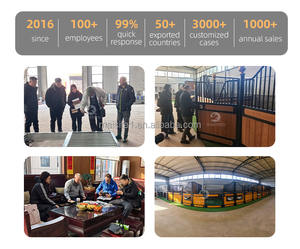 Box per Cavalli in Acciaio Zincato a Caldo MAISTEED, Standard Europeo, Verniciato a Polvere, Design Personalizzato Gratuito, Frontali per Stalle - Product Image 6