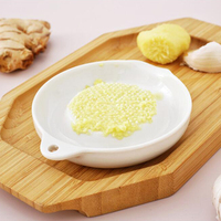 Râpe à gingembre en céramique blanche de style simple, outil de broyage manuel, presse-ail portable en porcelaine, outil de cuisine pour broyer les carottes et le gingembre