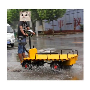 <b>Transport</b> Cart Powered Platform Vehicle for <b>Transportation</b> <b>Transport</b> Truck Plant - Product Image 5