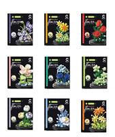 Jouets de construction en forme de fleurs, cadeau pour la Saint-Valentin, bouquet de fleurs éternelles, cadeau pour adultes et enfants, ensemble de blocs de construction éducatifs