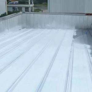 Revestimiento Impermeable <span class=keywords><strong>en</strong></span> Aerosol para Techos de Polímero y Metal, para Uso <span class=keywords><strong>en</strong></span> Paredes de Almacenes, Pintura Ecológica, Duradera, Resistente al Calor y a los Rayos UV - Product Image 4