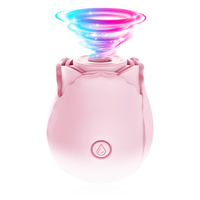 Vibrateur Rose en Gros pour Femmes - Rechargeable USB, Étanche, 10 Vitesses, Masseur Clitoridien et Mamelons à Succion, Masturbateur, Prix Abordable