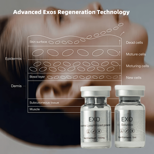 Sérum régénérant pour la peau OEM Korea MSC 2Billion Exoso Peptide Exoglow Exo stem Cell Lyophilized Powder Ampoules Skin Booster - Product Image 1