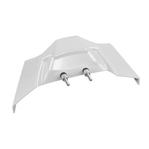 Alerón delantero Downforce, alerón aerodinámico desnudo para <span class=keywords><strong>BMW</strong></span> S1000R 2021-2024 <span class=keywords><strong>S</strong></span> <span class=keywords><strong>1000</strong></span> <span class=keywords><strong>R</strong></span> M1000R <span class=keywords><strong>2023</strong></span> 2024 - Product Image 5
