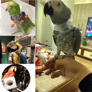 ปลอกคอกันกัดสำหรับนกแก้วสำหรับสัตว์เลี้ยงปลอกป้องกันการกัดเพื่อความปลอดภัยในการรักษาแผลด้วยขนนกเลียปลอกคอสำหรับพักฟื้นเพื่อความปลอดภัย - Product Image 6