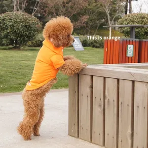 Veste en coton décontractée pour chien, t-shirt polo, printemps, été, automne, vêtements pour chiot Teddy, peut être vendu en gros en Chine - Product Image 4