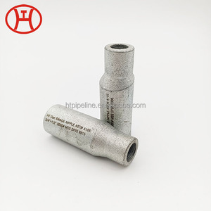 <span class=keywords><strong>SS</strong></span> thép không gỉ giả mạo thép phụ kiện núm vú ống đồng tâm uốn núm vú - Product Image 1