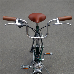 Vélo de ville et de loisirs à vitesse variable en acier au chrome-molybdène vert foncé de 20 pouces à 8 vitesses ZZP-A240 fabriqué en chrome-molybdène - Product Image 2