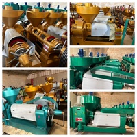 Presse à huile automatique à vis pour palmiste, arachide, soja, sésame, colza et olive, fournie par l'usine, capacité 300 kg/h