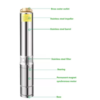 Kit de pompe à eau solaire submersible pour puits profond avec contrôleur MPPT, pompe solaire pour puits artésien en acier inoxydable pour l'irrigation agricole