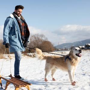 Удобные мягкие теплые флисовые зимние сапоги, дышащая обувь для собак, водонепроницаемая искусственная ткань, Классический роскошный стиль для кошек, зимний сезон - Product Image 5