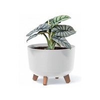 Pot de fleurs rond en plastique de style campagnard avec couvercle sur pieds Gracia Blanc Léger et durable pour patio et balcon