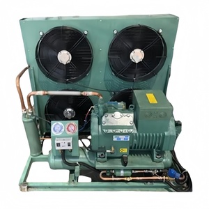 Hoge Kwaliteit Aangepaste R404a Koude Kamer Energiebesparende Outdoor Vriezer Loopkoeler R290/380V Motor Kern Condensatie Apparaat - Product Image 2