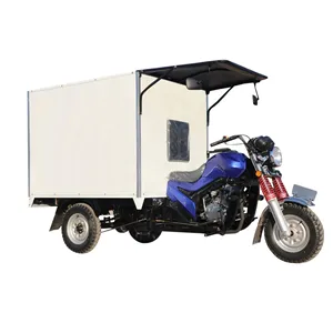 High Quality Express Delivery Gasoline Vehicle Closed Cargo Tricycle 3 Wheel