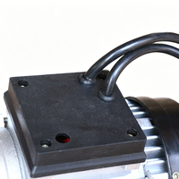 Polipasto Eléctrico Tipo Carro con Cable Metálico, Estructura Metálica, Control Remoto, Capacidad de Carga 500kg/1000kg