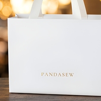 Coated Paper Luxury Gift Paper Bag with Matt Lamination Long Ribbon Handle Suitable for Cosmetics