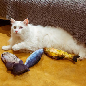 30CM Cat <strong>Toy</strong> <strong>Fish</strong> Electric Charging Simulation Dancing Jumping Moving <strong>Floppy</strong> <strong>Fish</strong> Cat <strong>Toy</strong> for Cats <strong>Toys</strong> Interactive Hotsale - Product Image 3