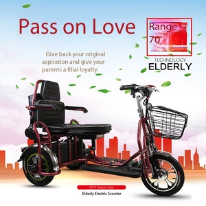Triciclo Eléctrico de Largo Alcance para Adultos con Batería de Litio, 70 KM de Autonomía Máxima, Carga de 100 KG, 3 Velocidades, E-Trike para Desplazamientos y Entrega de Carga Ligera - Product Image 4