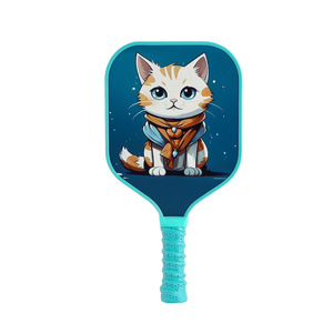 Set de Pickleball Compacto de Fibra de Vidrio, Favorito de los Estudiantes para el Dormitorio Universitario y el Campus, con Bolsa y Pelotas - Product Image 5