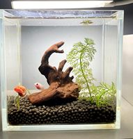 PKY Poland Bogwood Bois de rivière artificiel pour aquascape, design araignée, petit bois flottant pour aquarium, bois de méné de rivière