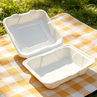 Boîte alimentaire en bagasse de canne à sucre de 8 pouces avec couvercle, biodégradable, recyclable, micro-ondable, pour restaurant, pique-nique