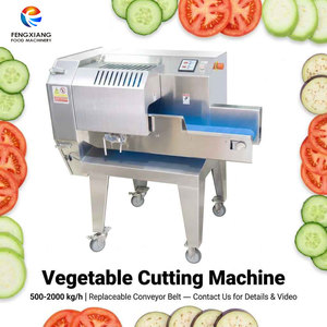 FTS-168 Commercial <b>Vegetable</b> Cutting Machine 500-2000kg/h Carrot Eggplant Bottlegourd Luffa Zucchini Slicer Machine - Product Image 1