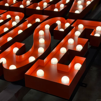 Enseigne lumineuse vintage à LED en forme de lettre, personnalisée, rétro, rétroéclairée, en acier inoxydable, étanche IP65, pour publicité, parcs et décoration commerciale