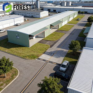 Hangar de Acero Industrial de Alta Calidad, Galvanizado, para Construcción de Aeropuertos, Precio Competitivo - Product Image 1