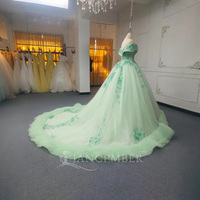 Robes de Quinceanera vert sauge robe de bal Appliques florales dentelle dos Corset pour les filles douces fête Lsany16